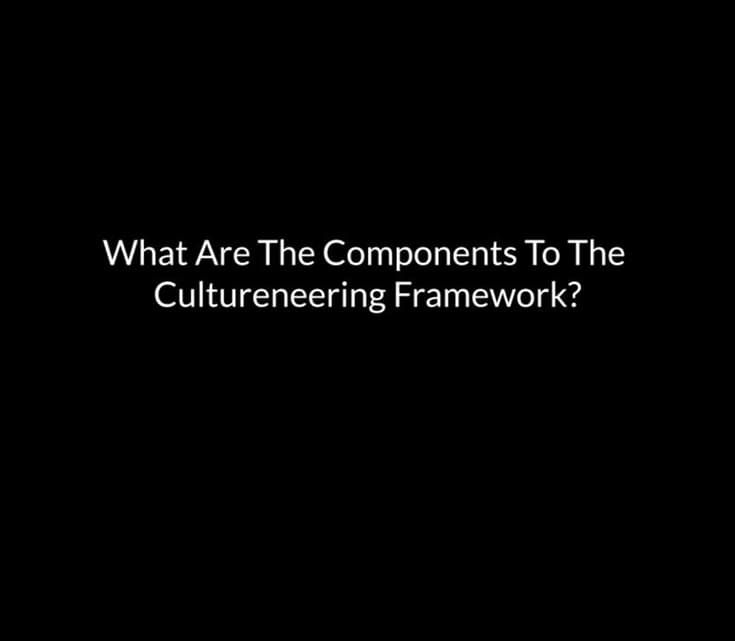 What Are The Components To The Cultureneering Framework?